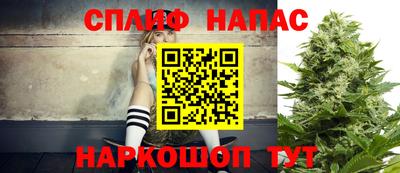 шишки Бузулук
