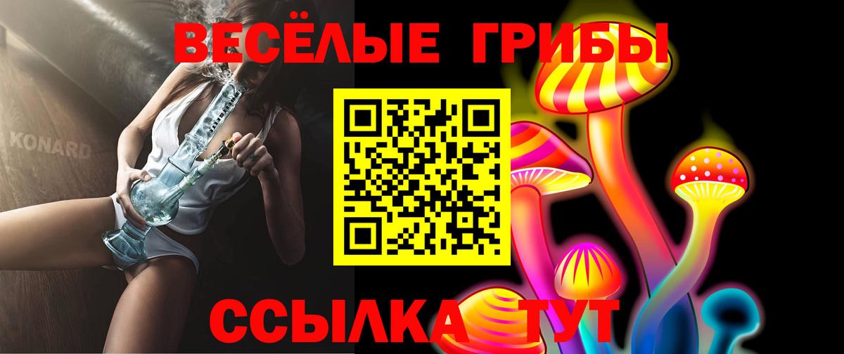 Псилоцибиновые грибы ЛСД  цена   Котовск  Вход с VPN 